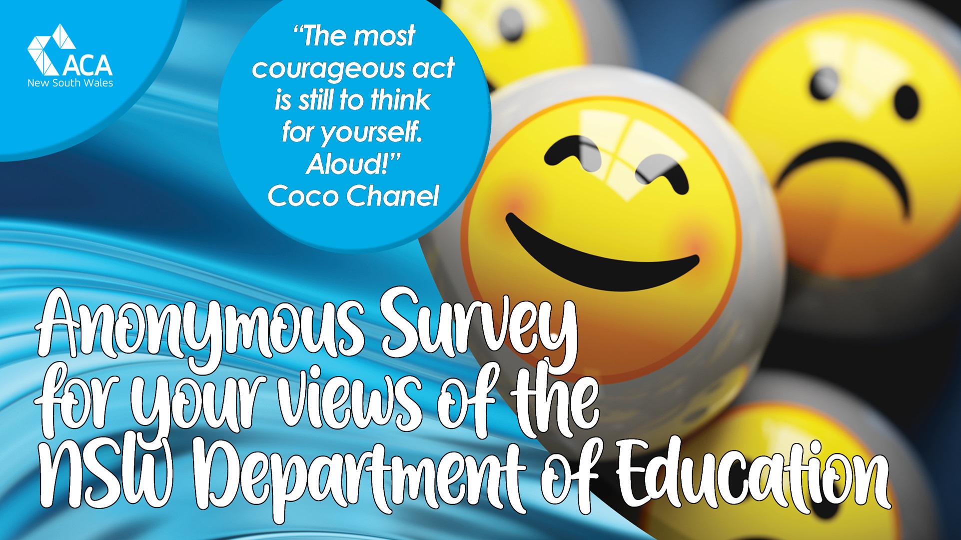 What do you think of the NSW Department of Education?