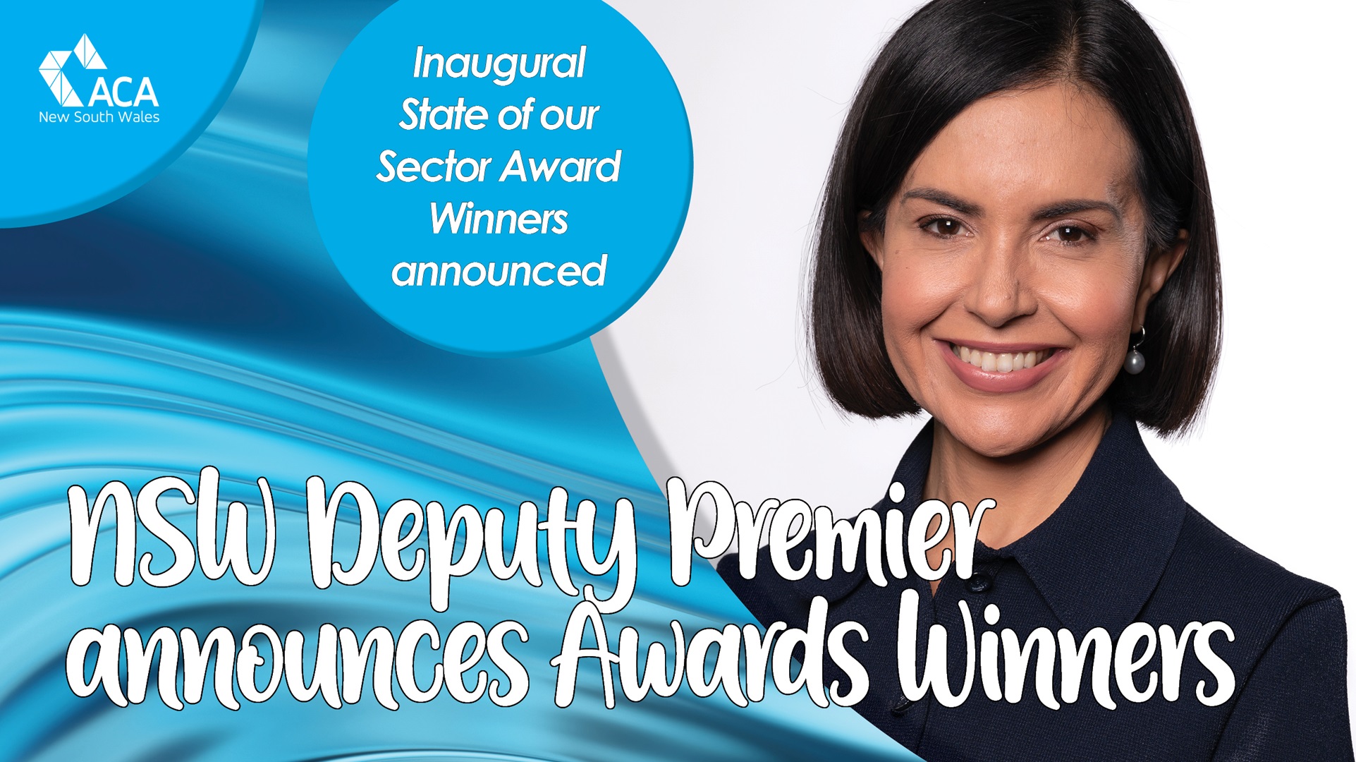 NSW Deputy Premier announces State of our Sector award winners